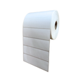 Rollo etiquetas autoadhesivas semibrillo 100x30mm 1700 etiquetas buje 1 pulgada — Bodemix
